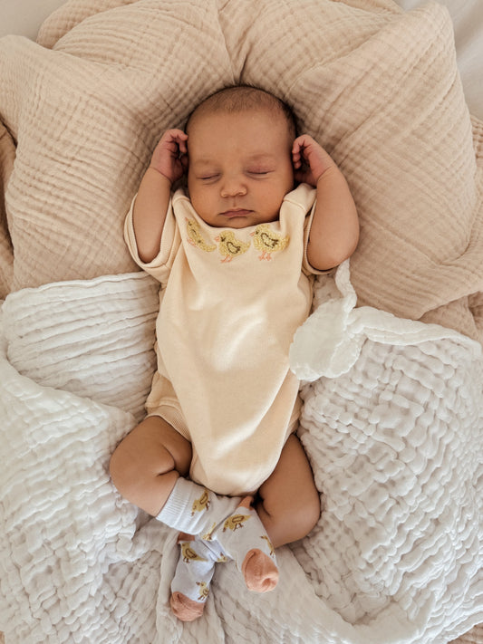 3 Little Ducks Bubble Romper