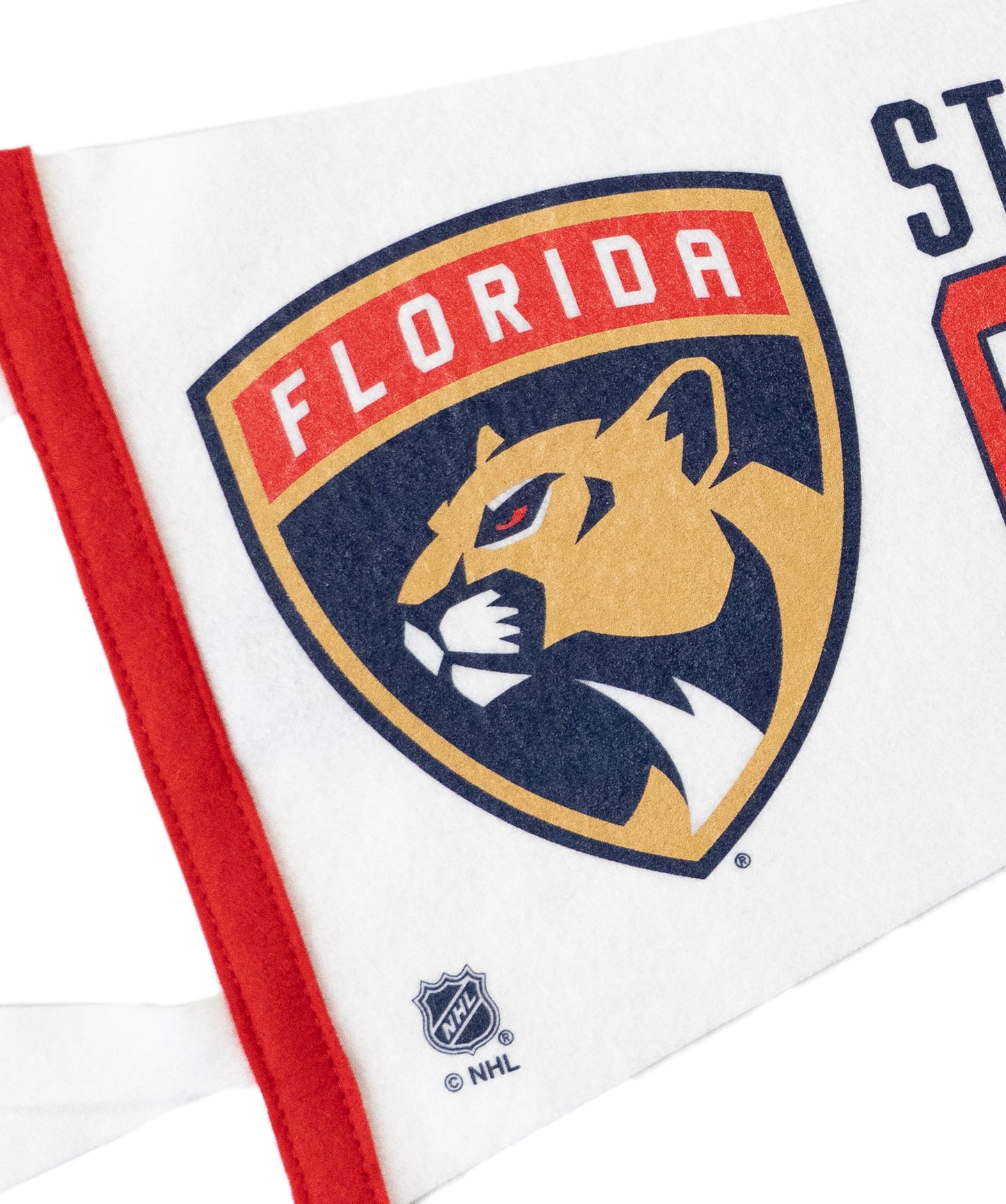 Florida Panthers Stanley Cup Champions Pennant • NHL x Oxford Pennant