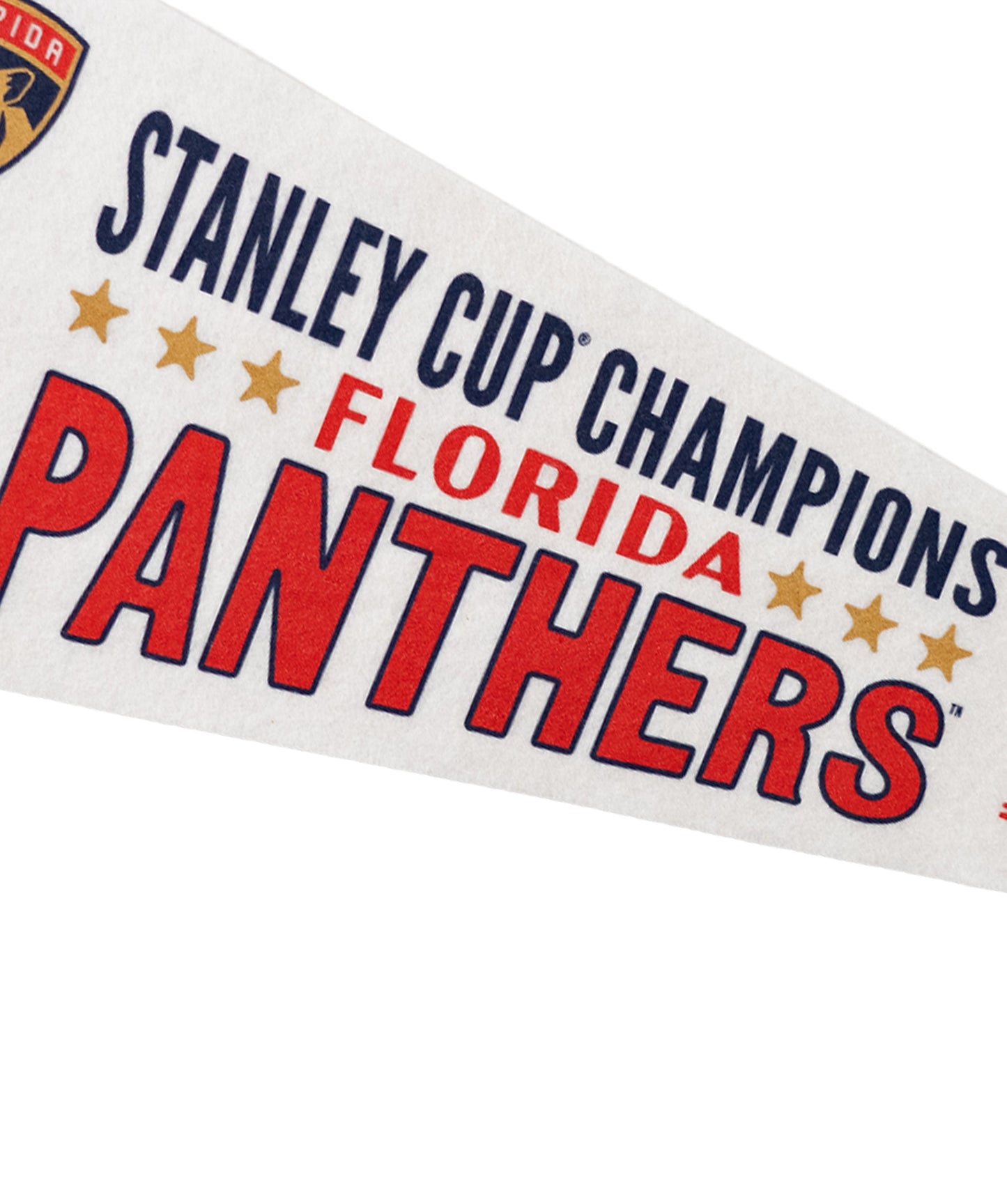 Florida Panthers 2024 Stanley Cup Champions Pennant • NHL x Oxford Pennant