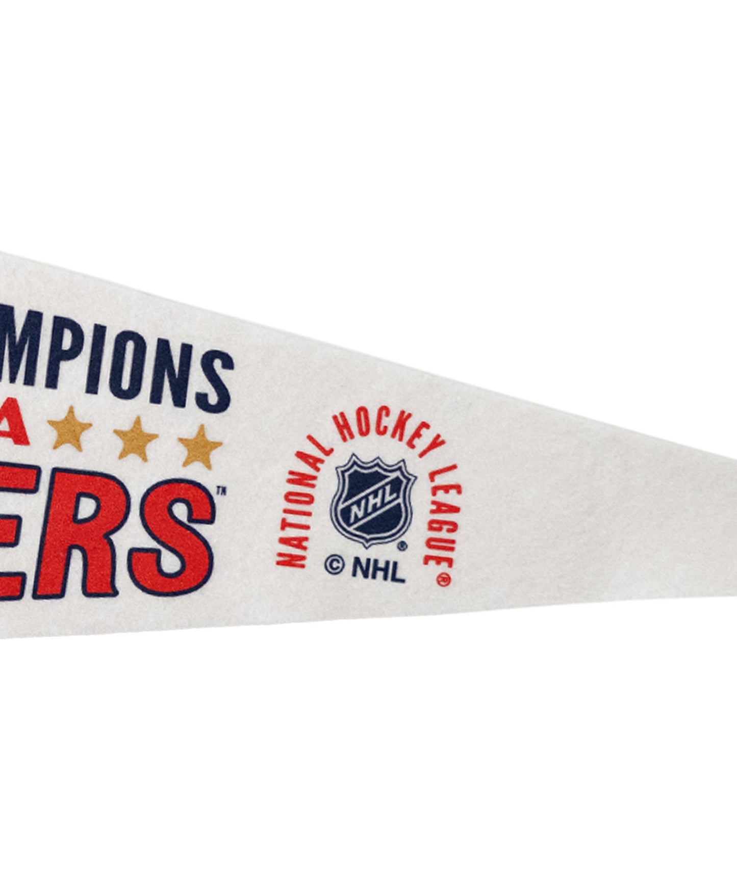 Florida Panthers 2024 Stanley Cup Champions Pennant • NHL x Oxford Pennant