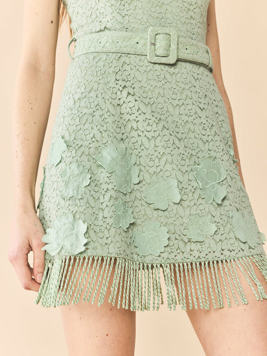 Sarah Bird Mini Dress