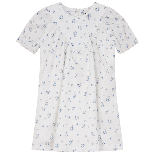 Blueberry Printed Dress