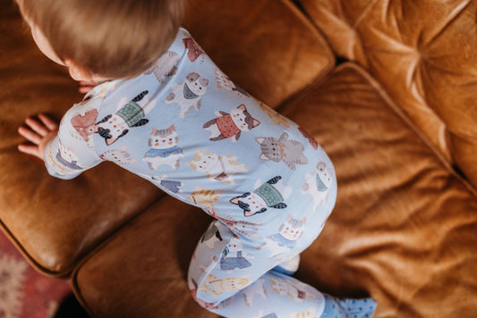 Whiskers (Blue) Romper BDLJ