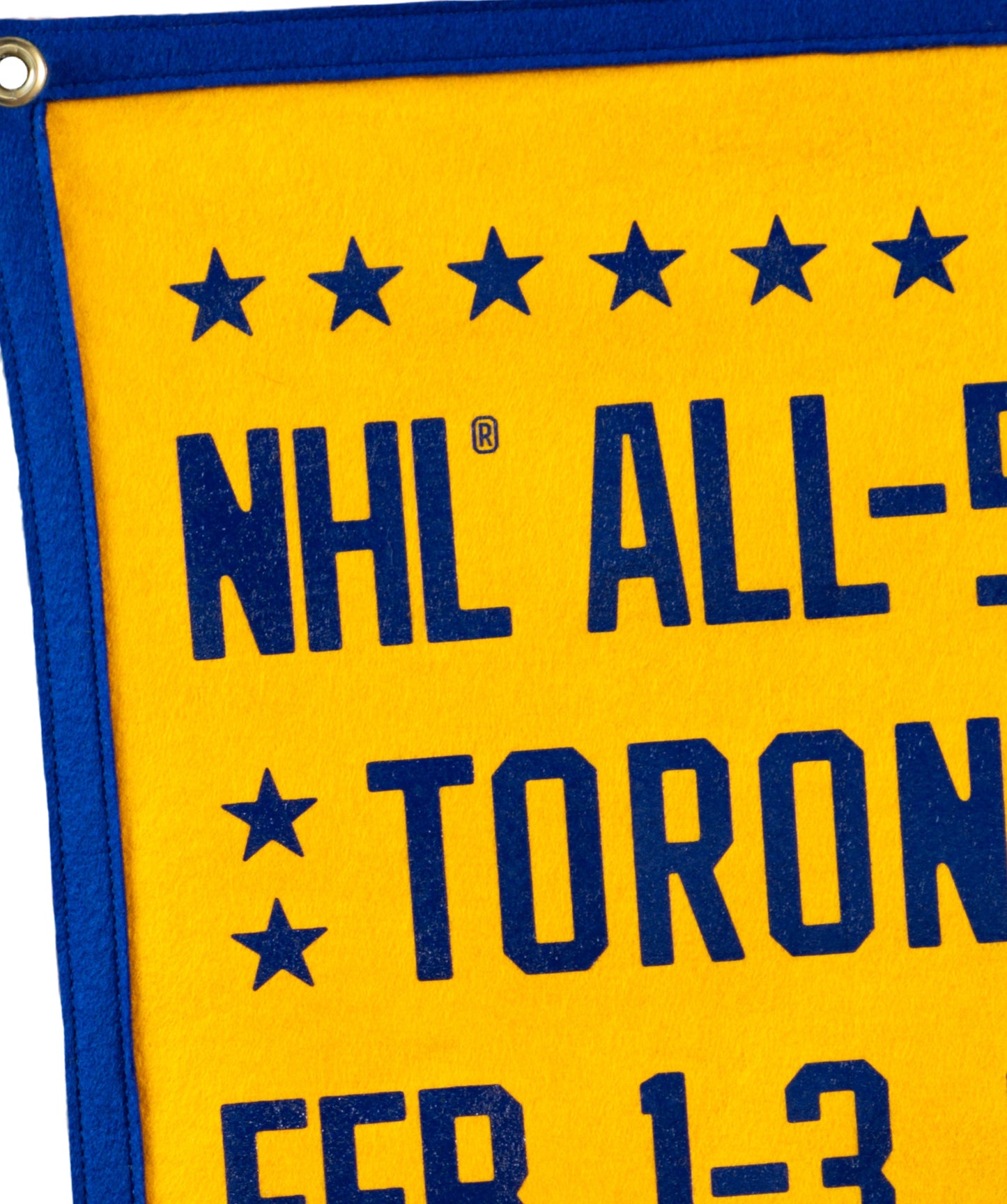 2024 NHL® All-Star Camp Flag • NHL x Oxford Pennant