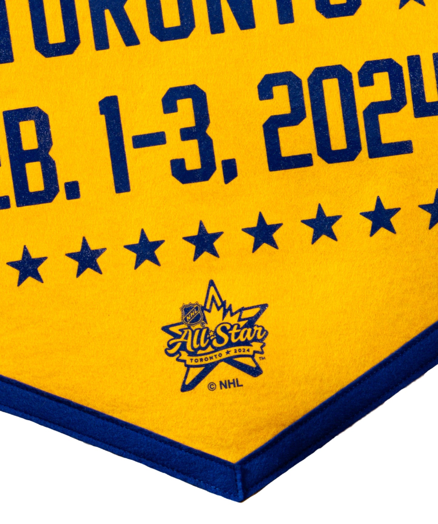 2024 NHL® All-Star Camp Flag • NHL x Oxford Pennant