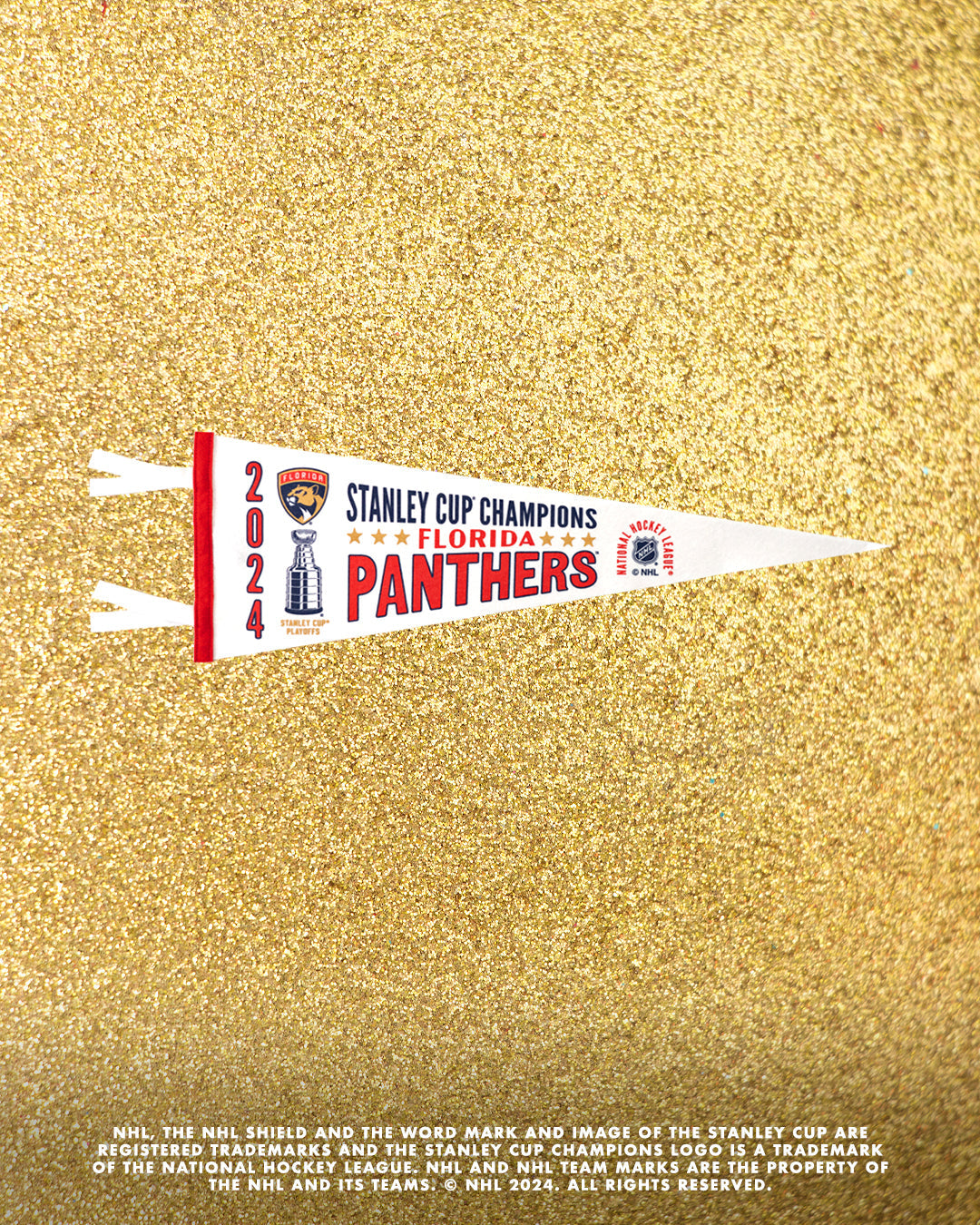 Florida Panthers 2024 Stanley Cup Champions Pennant • NHL x Oxford Pennant