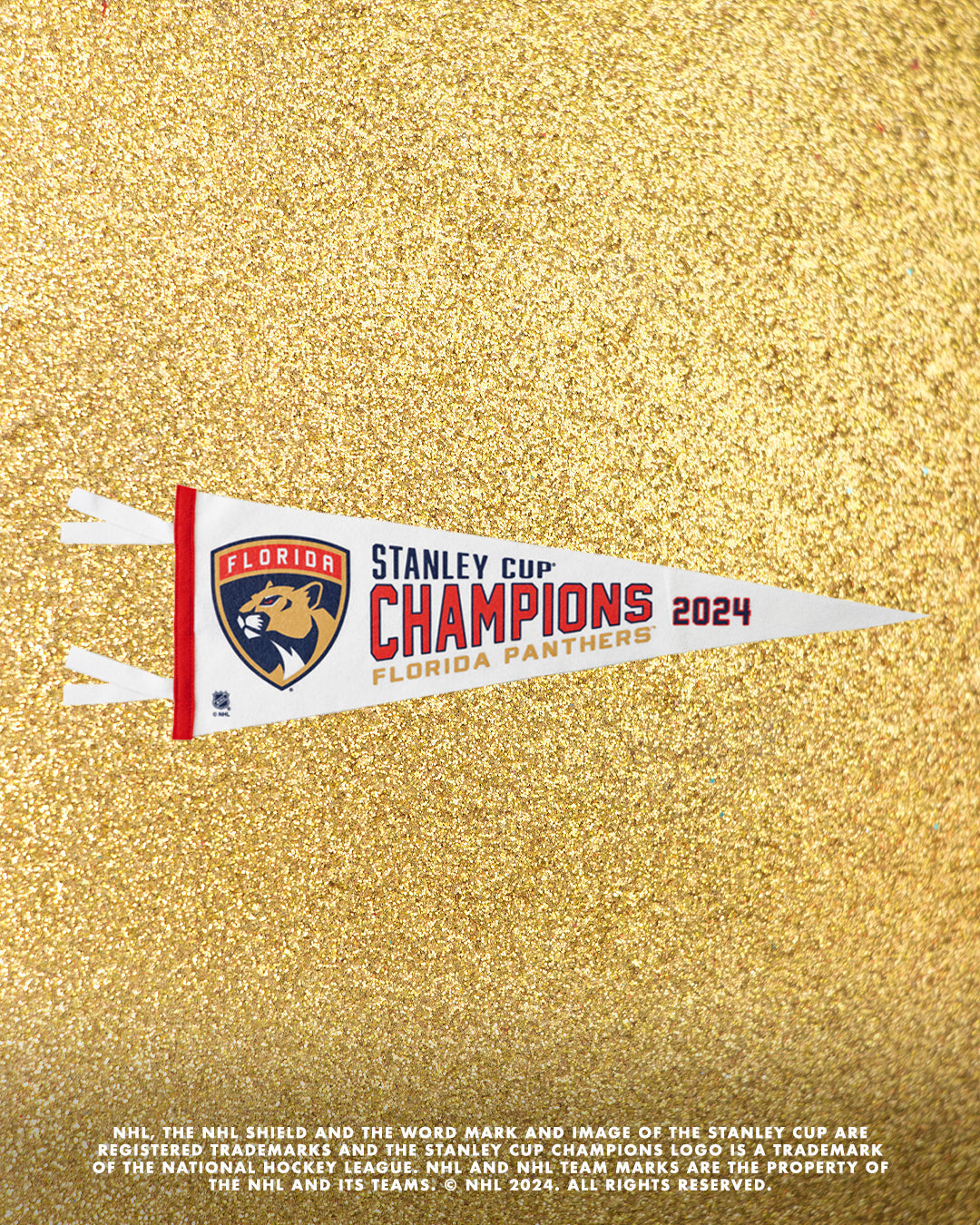 Florida Panthers Stanley Cup Champions Pennant • NHL x Oxford Pennant