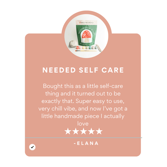 DIY Air Dry Clay Kit- Make Your Own Mushroom Dish