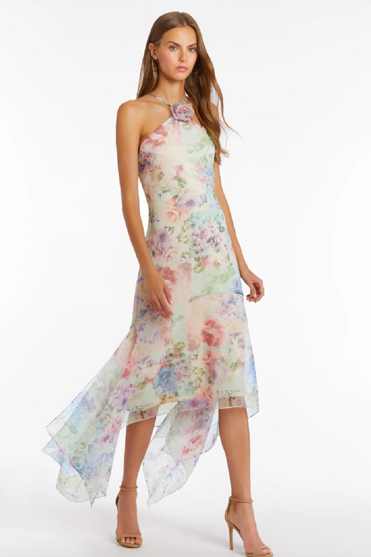 Natalie Dress