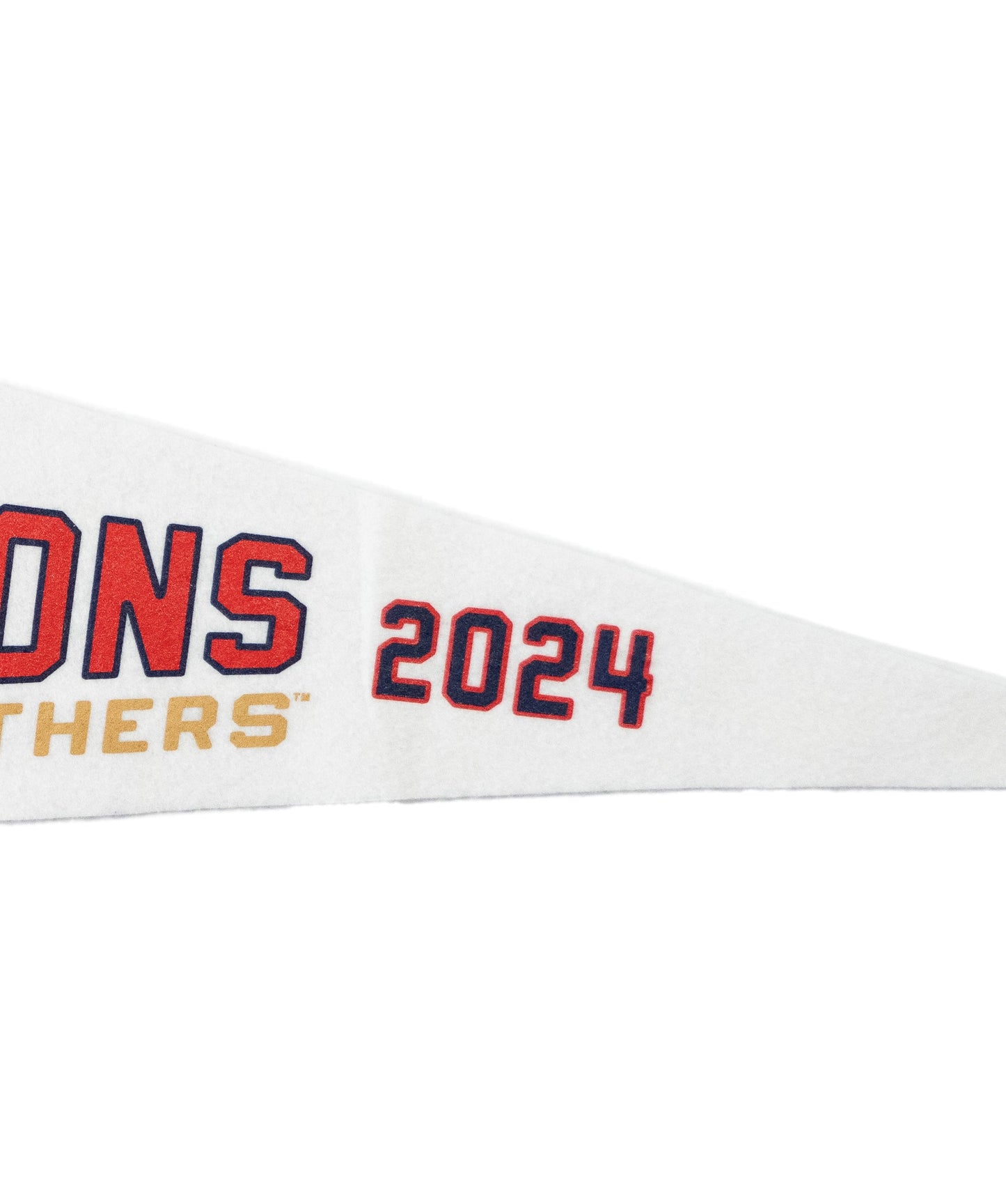 Florida Panthers Stanley Cup Champions Pennant • NHL x Oxford Pennant