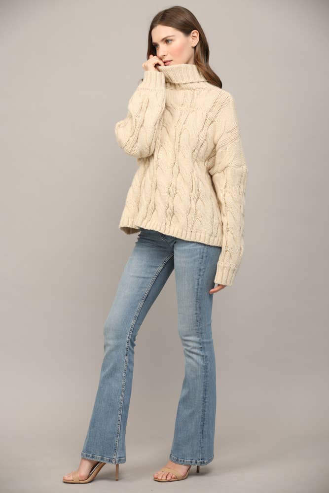 Cable Knit Turtleneck