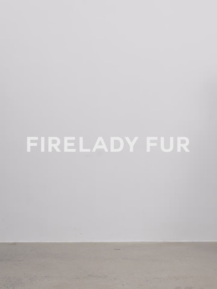 Cutting-Edge Style, Warm and Detachable Raccoon Fur Collar Short Silhouette Down Jacket