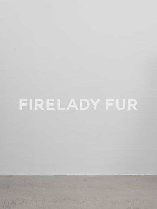 Cutting-Edge Style, Warm and Detachable Raccoon Fur Collar Short Silhouette Down Jacket