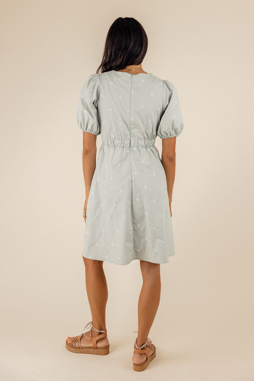Picture Perfect Embroidered Dress