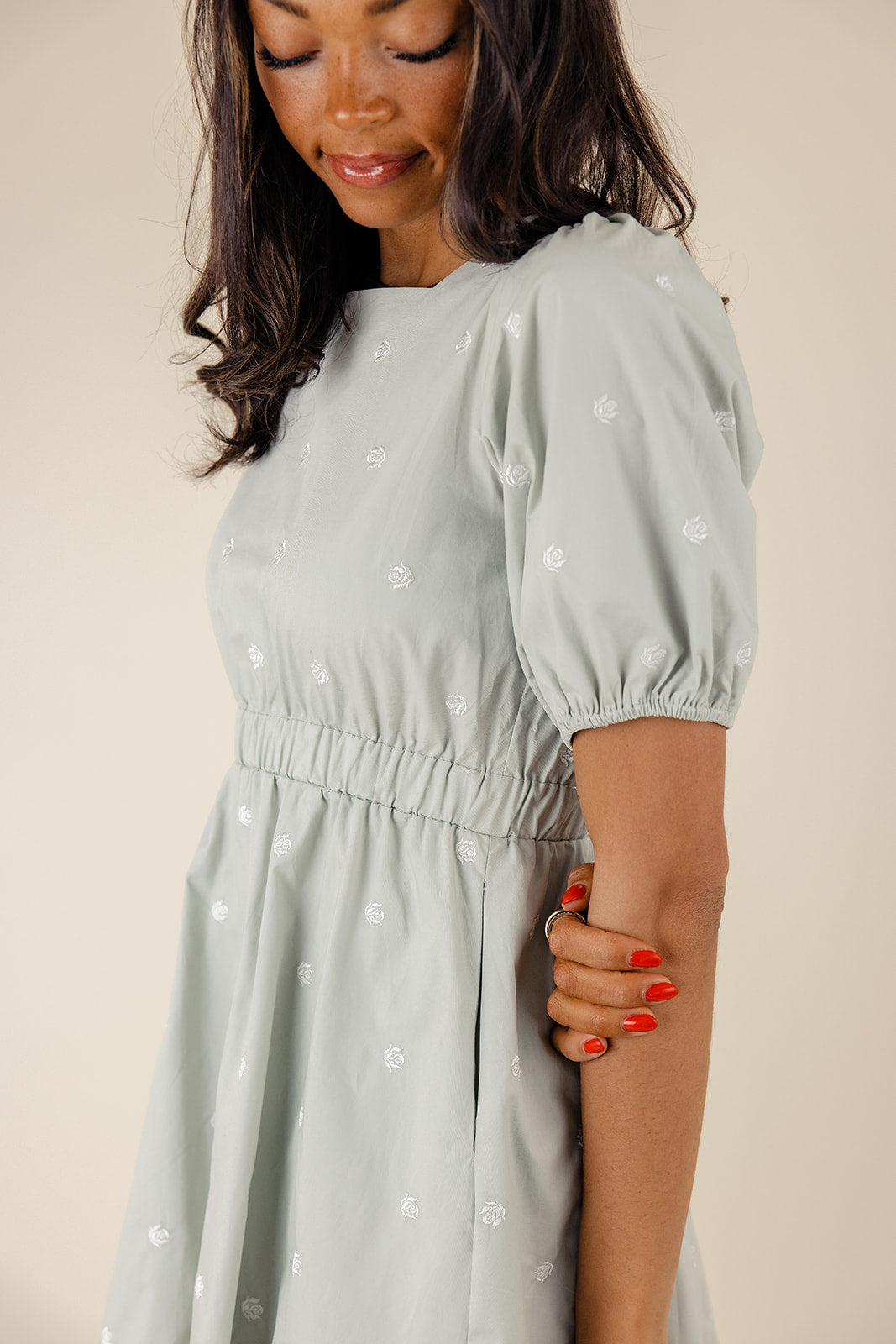 Picture Perfect Embroidered Dress