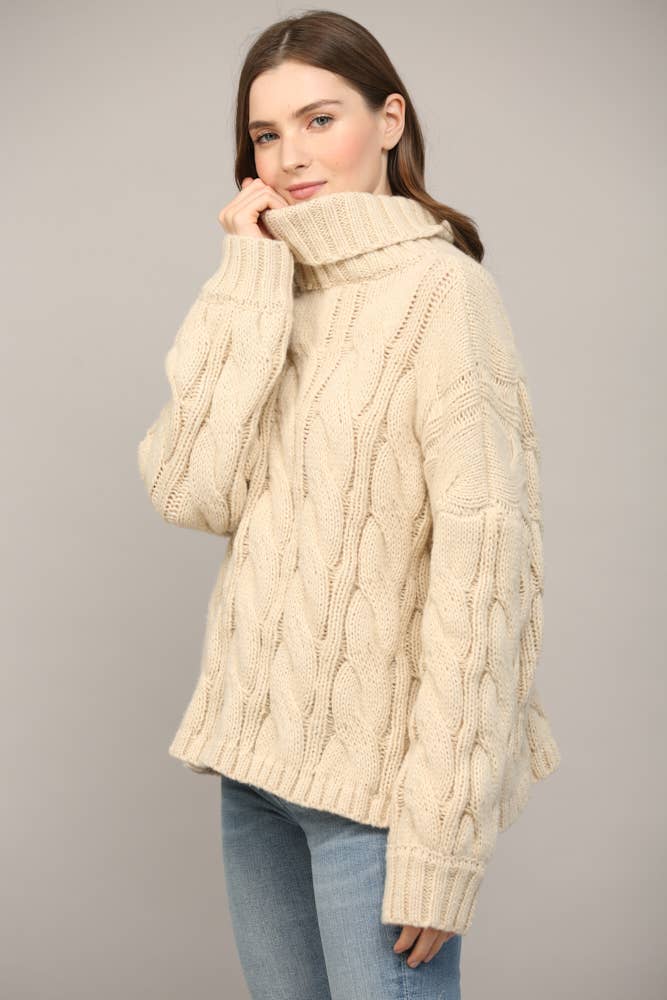 Cable Knit Turtleneck