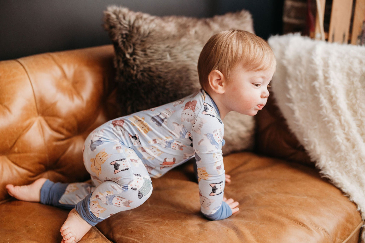 Whiskers (Blue) Romper BDLJ