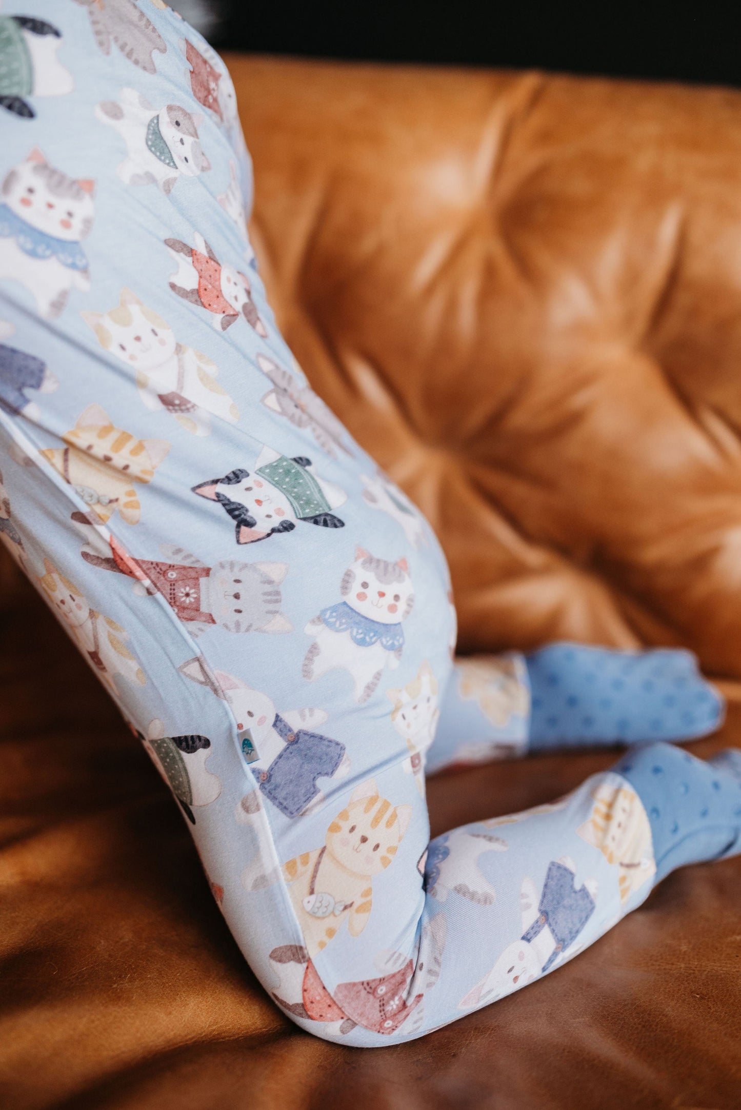 Whiskers (Blue) Romper BDLJ