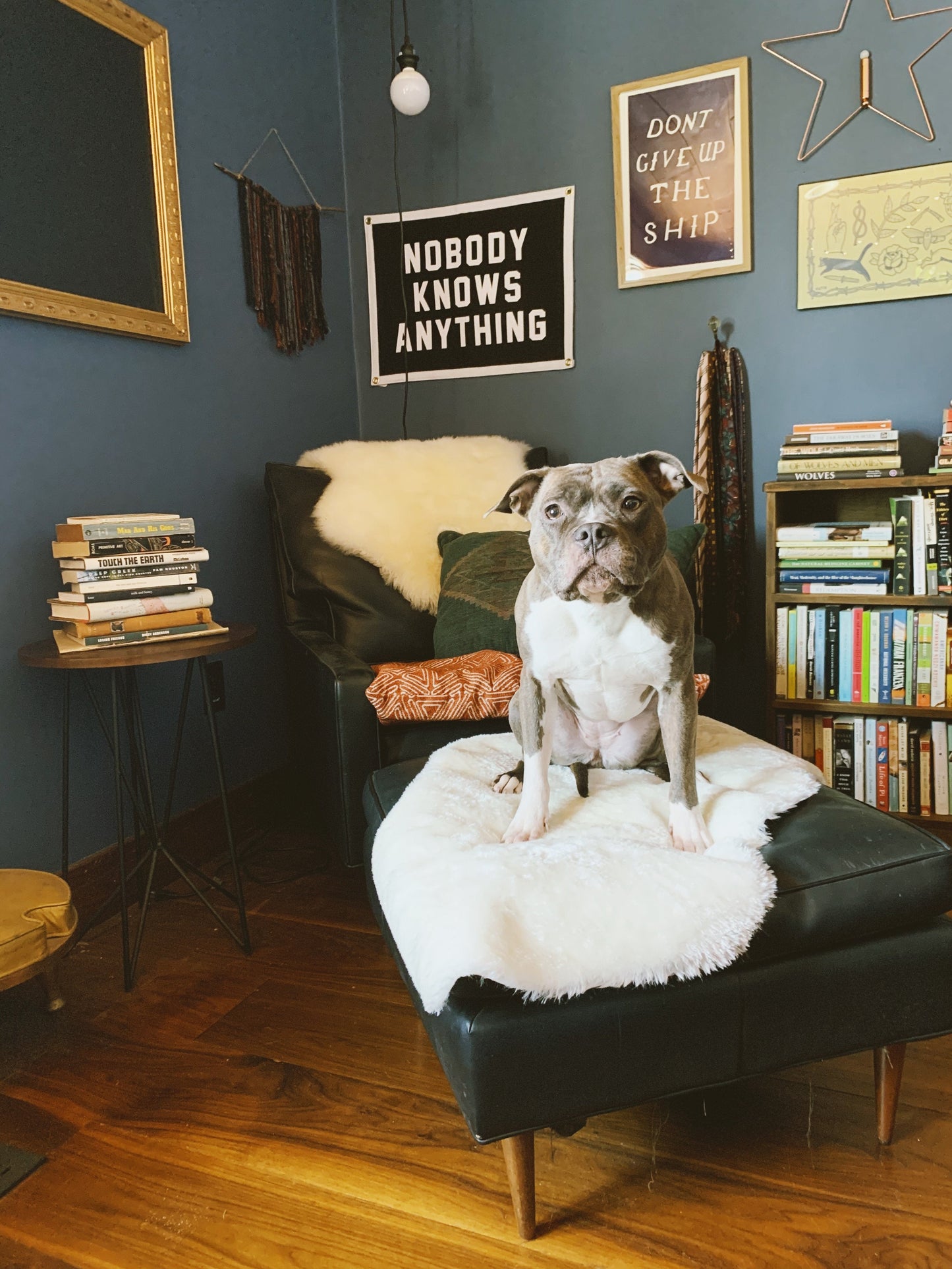 Nobody Knows Anything Camp Flag