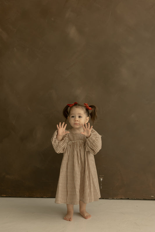 Child Long Sleeve Dress | Honey Gingham