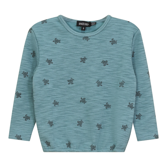 Turtle Printed Sweatshirt
