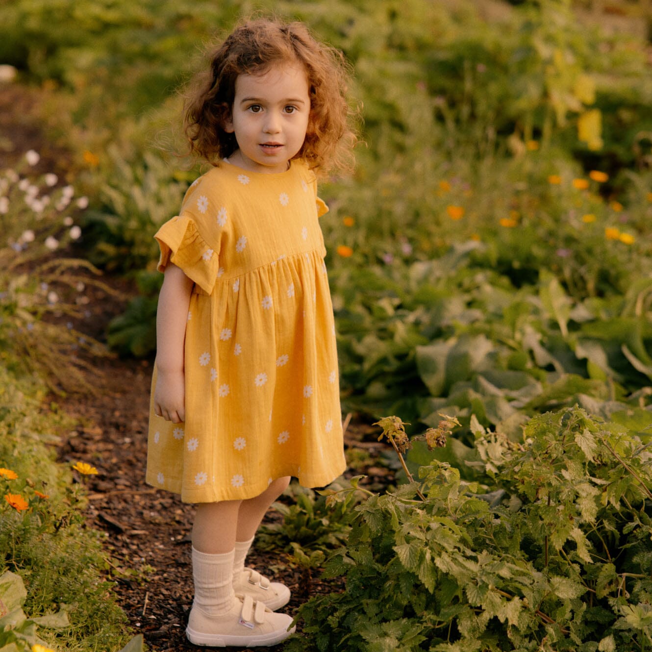 Clara Dress - Chamomile Sunshine Print - Mack & Harvie
