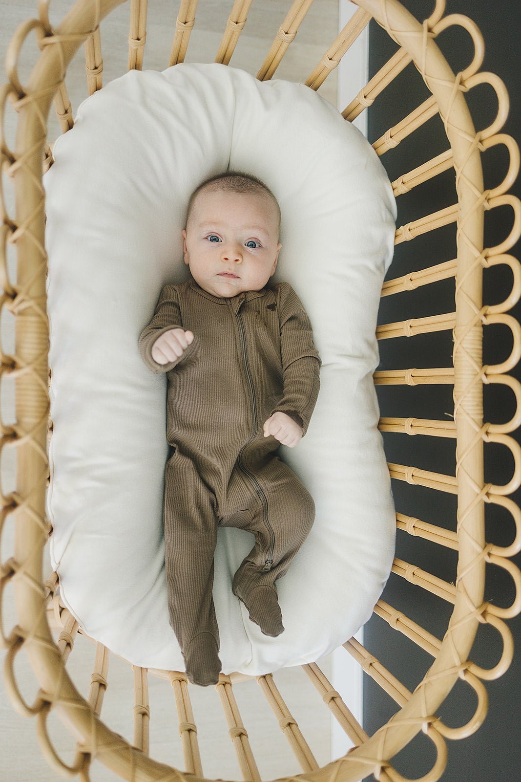Cocoa Organic Cotton Ribbed Zipper - Mack & Harvie