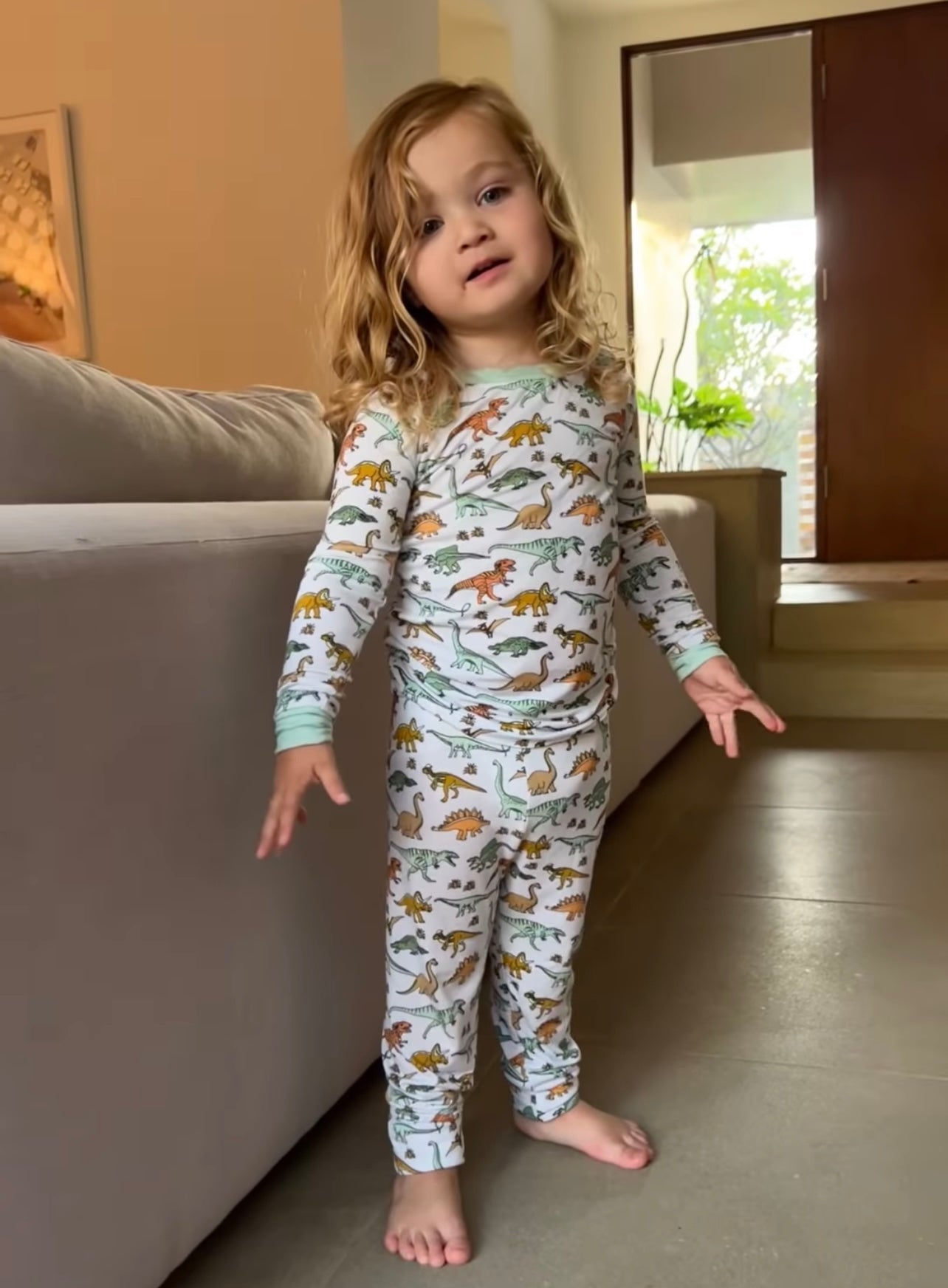 DINOSAUR DREAM SET