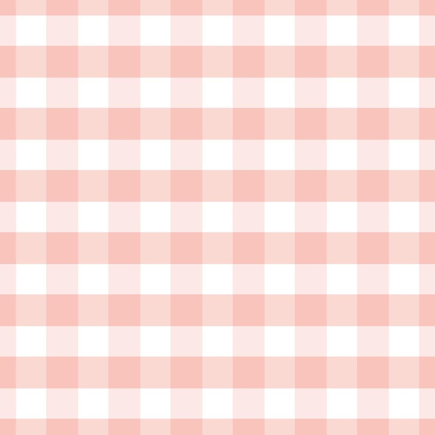 Pink Gingham 2pc Bamboo Pajama Set