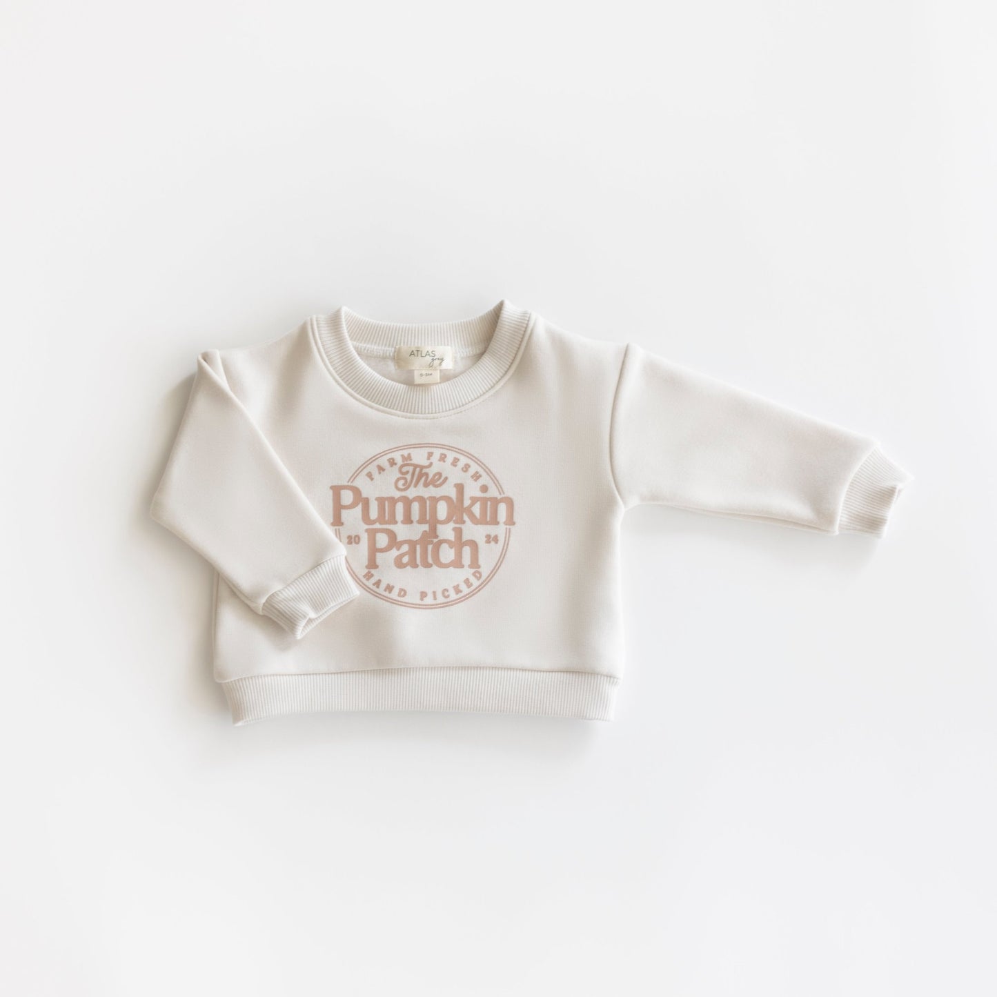 Pumpkin Patch Crewneck - Mack & Harvie