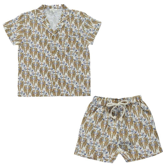 Wild Tiger Set - Mack & Harvie